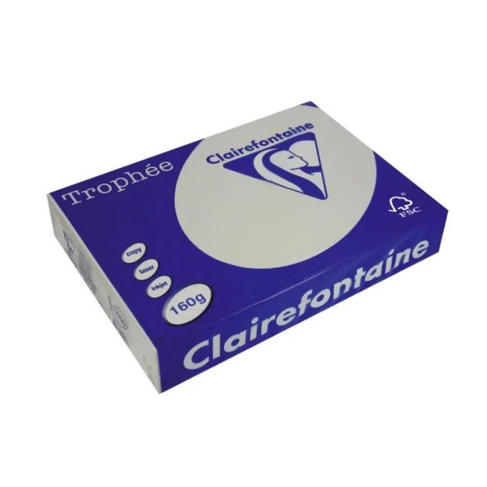 486301_001 Claire, kopirni papir, A4, 160g, siva, 250K - Image 1
